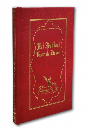 Het Traktaat Voor de Zieken - Afbeelding 2